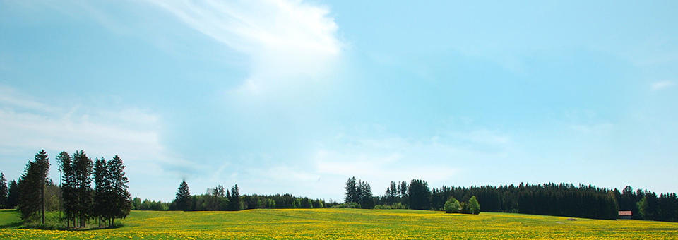 Teaser Bild